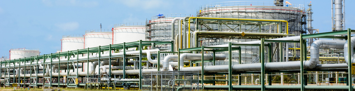 Inert Gas Suppression Systems