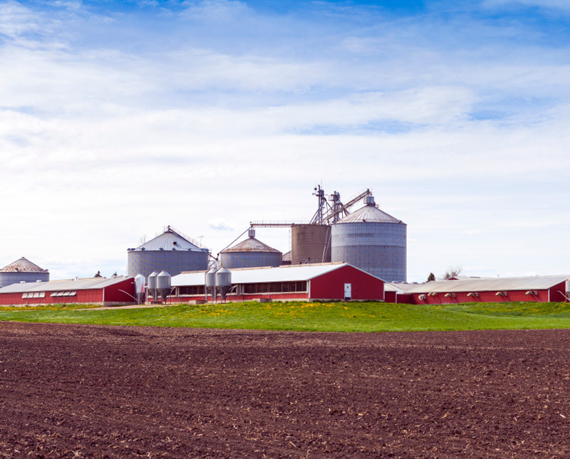 Modern Farm Modern Farm